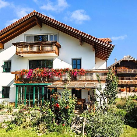 Ferienwohnungen Auf Dem Paulbauernhof Triebenbach 外观 照片