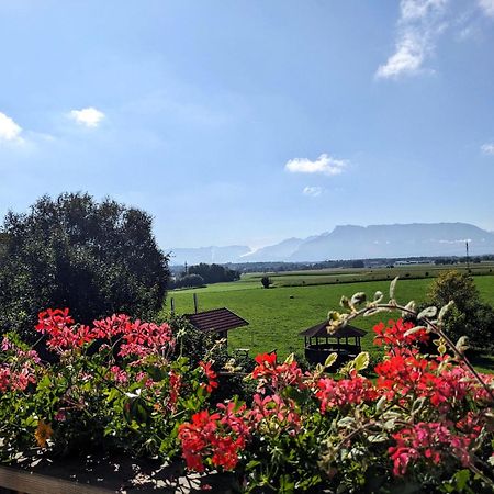 Ferienwohnungen Auf Dem Paulbauernhof Triebenbach 外观 照片